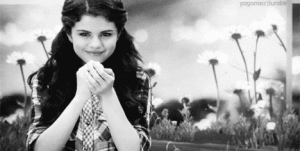 493268_813329271_big