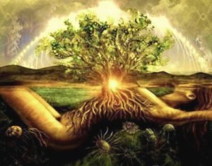 Földdel való egységközösség